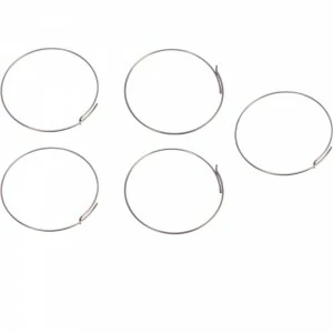 Ressort Pour Cliquets Fulcrum Route Corps De Roue Libre